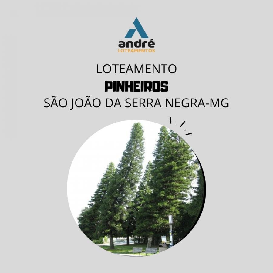 Lot. Pinheiros